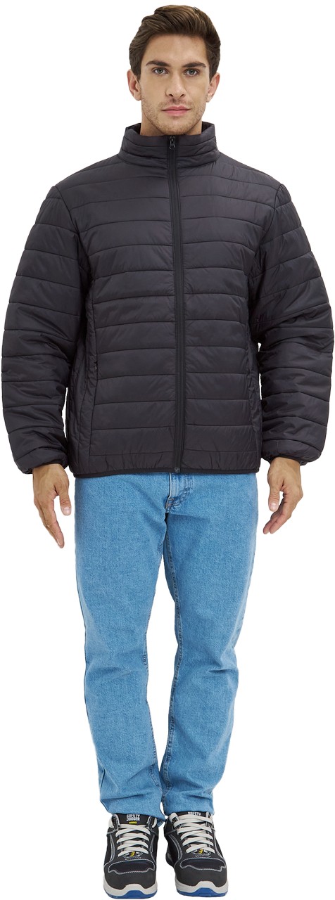 Куртка ДЕМИ стеганая зимняя (черный)